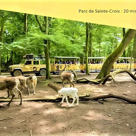 Street'art - 20 Min Center Parc Daire *