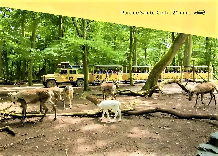 Appartement Street'art - 20 Min Center Parc Sarrebourg